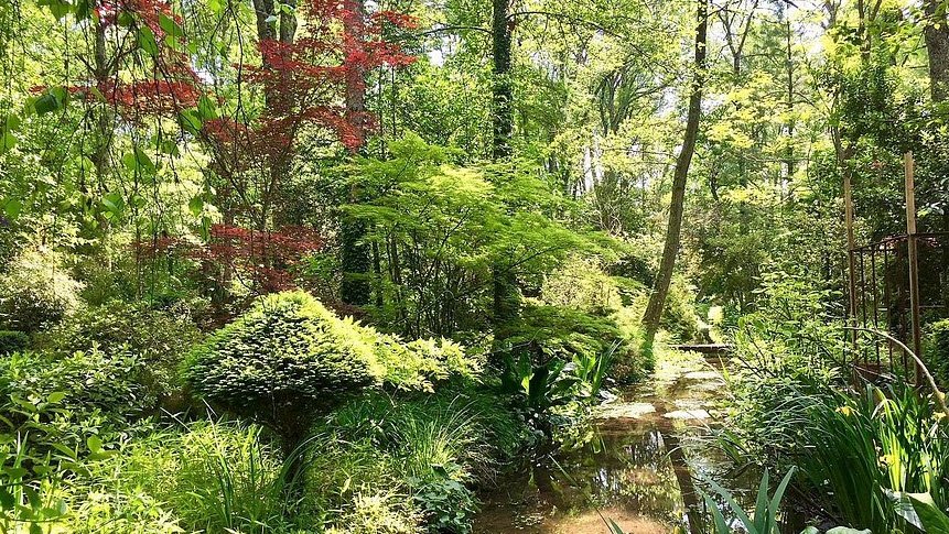 Arboretum des prés-des-culands, Meung-sur-Loire, France, France